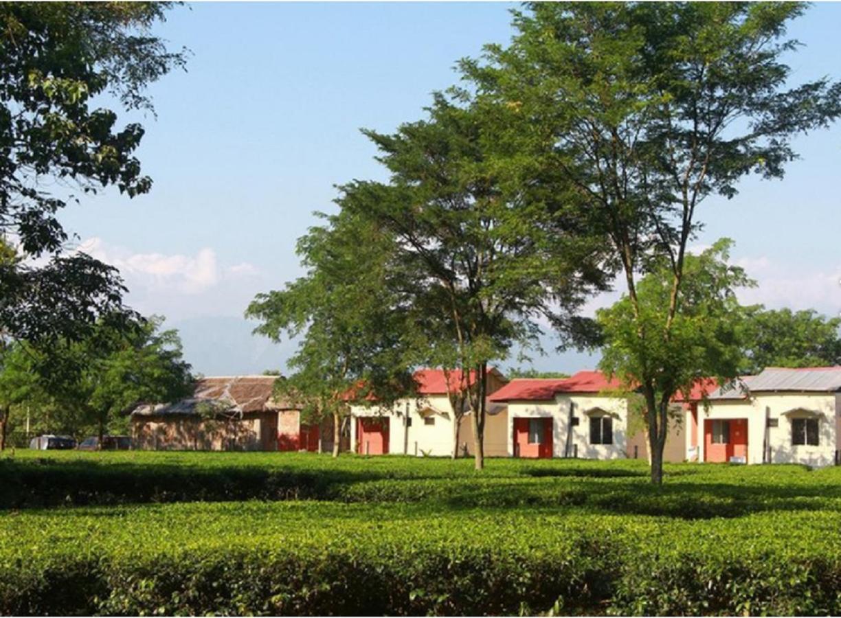 The Mystic Forest - A Tea Garden Resort At Dooars Madari Hat Экстерьер фото